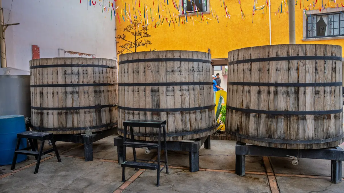 Tinas de fermentación